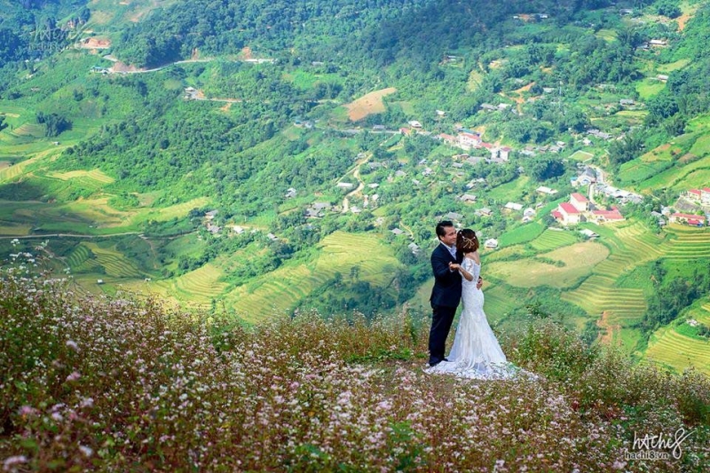 Chụp hình cưới ở thung lũng Mường Hoa