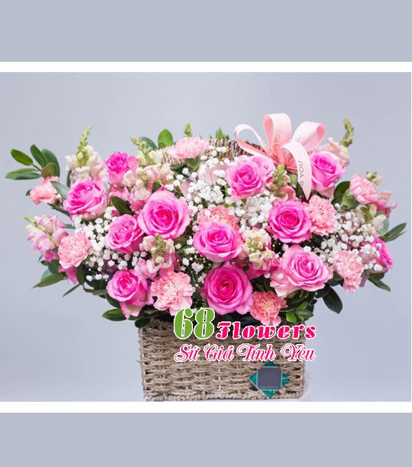 Hoa cẩm chướng rất phù hợp để tặng sinh nhật mẹ