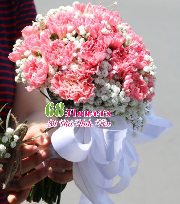 Hoa cô dâu cẩm chướng hồng