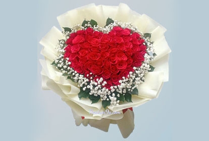 Cẩm chướng và hoa hồng, loại nào phù hợp để tặng người yêu